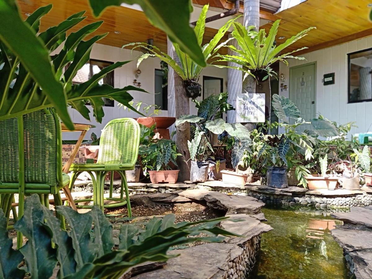 Infinite Green Pension Puerto Princesa Extérieur photo